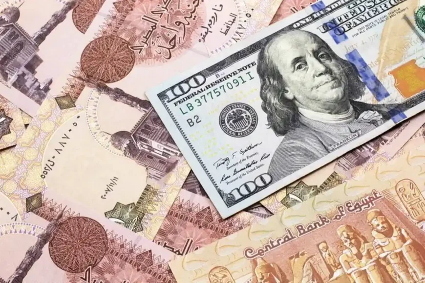 الدولار مقابل الجنيه يهبط بالعملة المصرية أكثر من 1% في جلسة واحدة