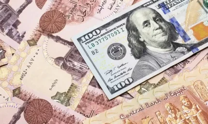 الدولار مقابل الجنيه يهبط بالعملة المصرية أكثر من 1% في جلسة واحدة