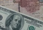 العقود الآجلة للجنيه تسجل 64.36 جنيه للدولار